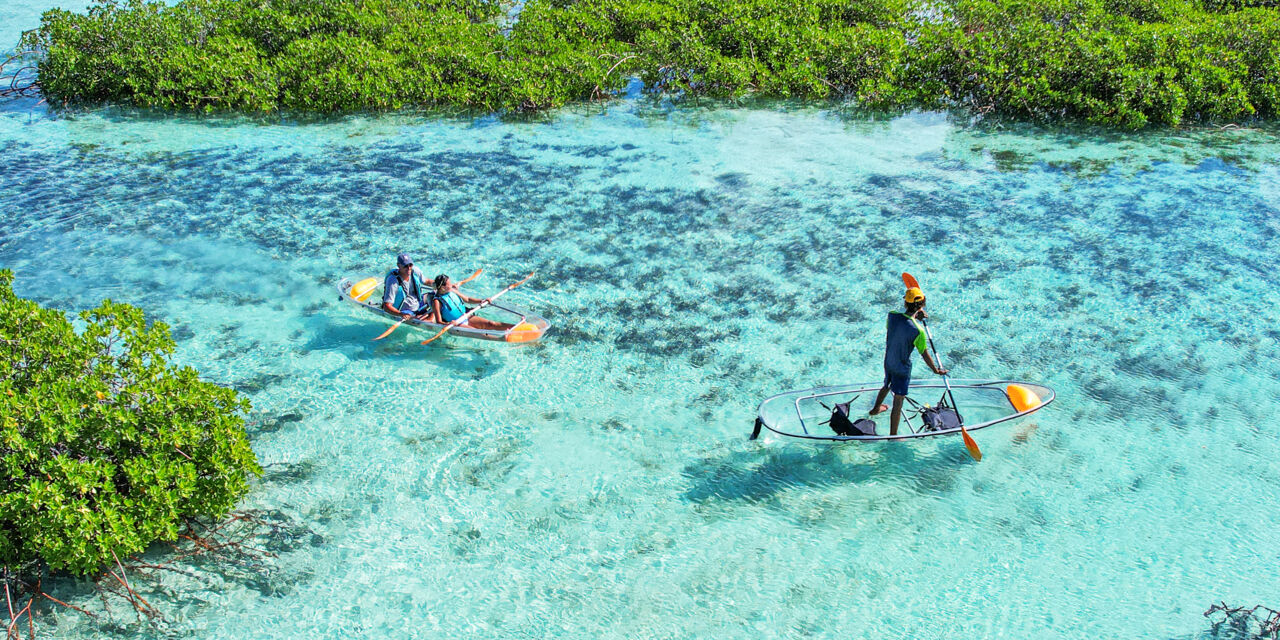 Water Sports