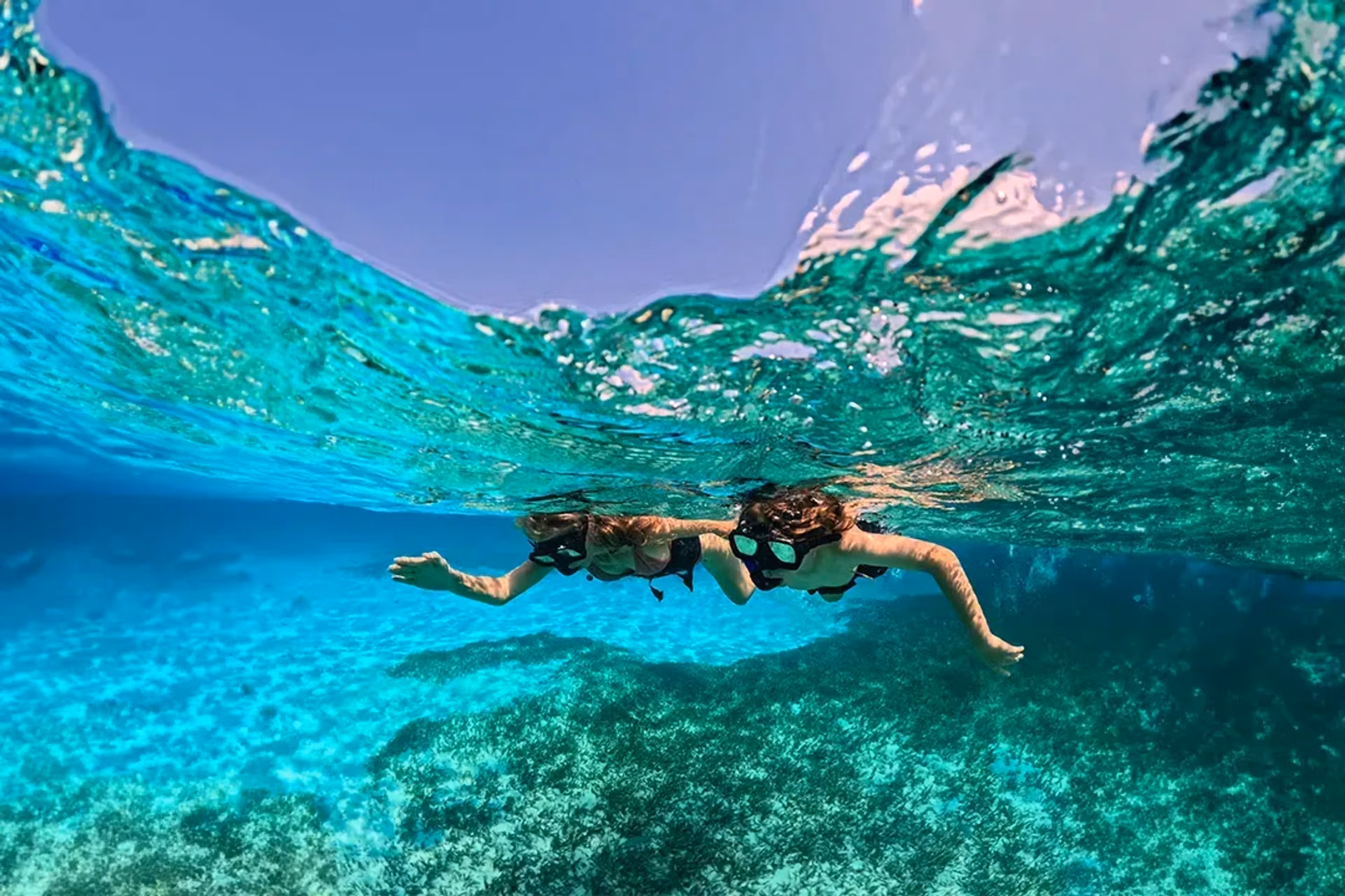 Snorkeling Tours