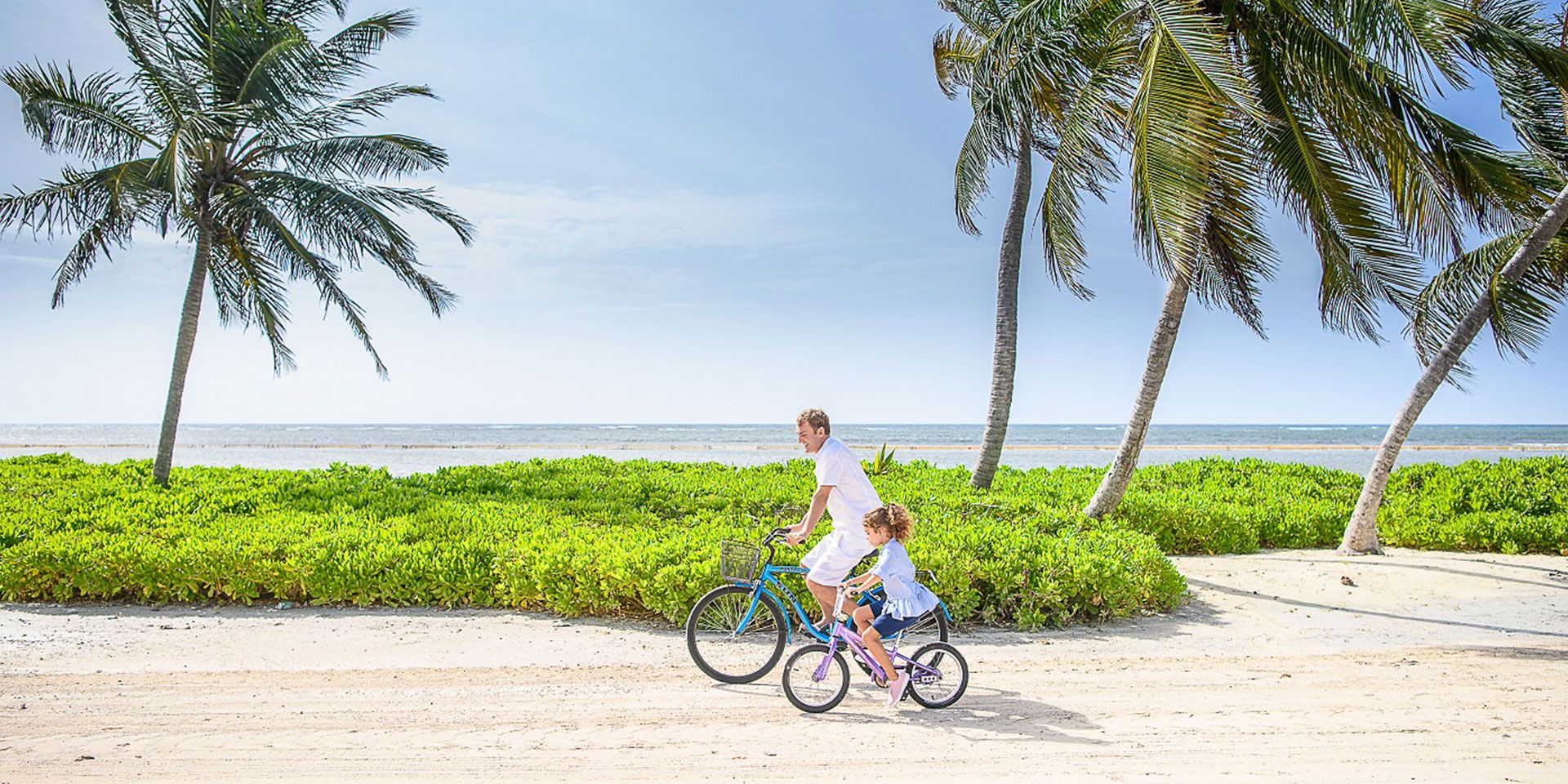 Bike and Travel Paths