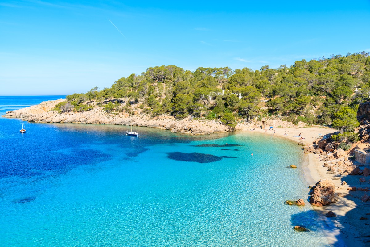 Calas