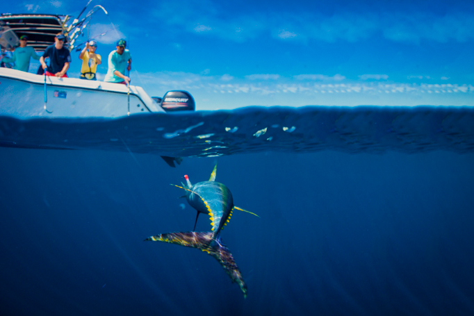 Fishing Tours
