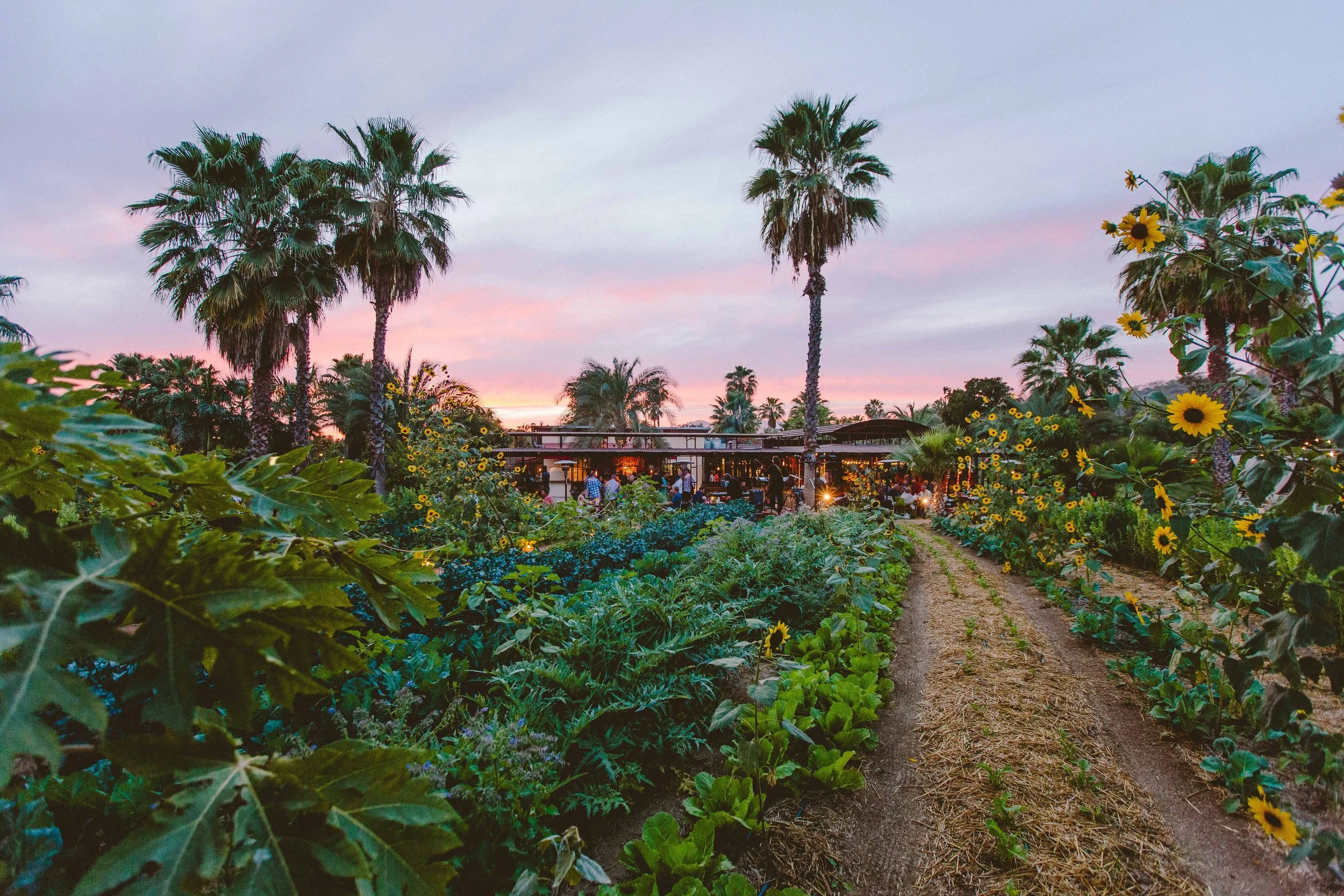 Flora Farms