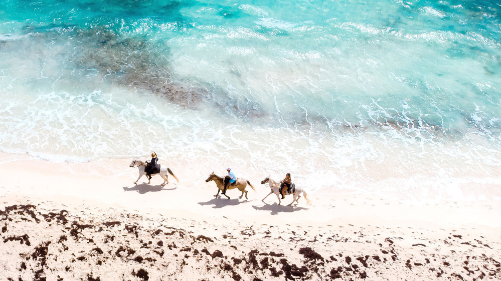 Horseback Riding at the Beach