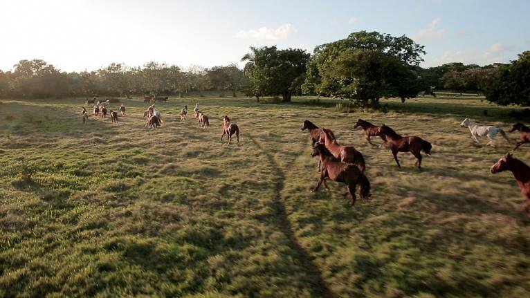 Equestrian Centres