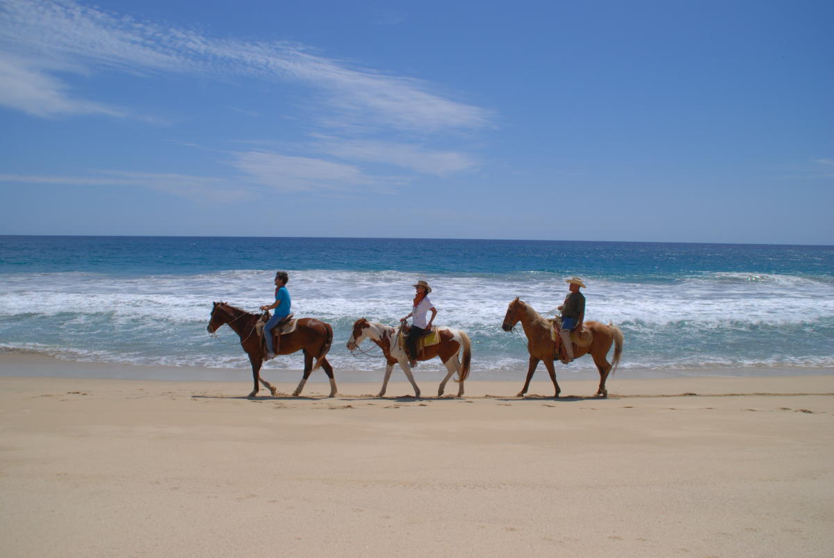 Horse Ride