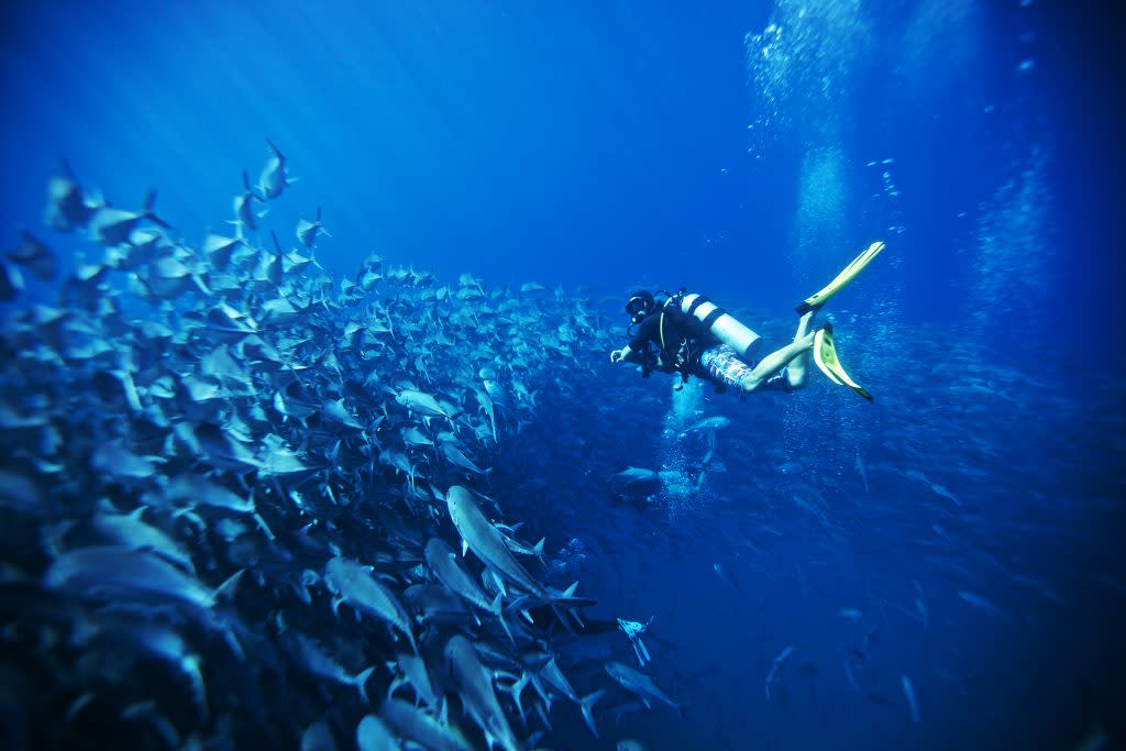Scuba Diving