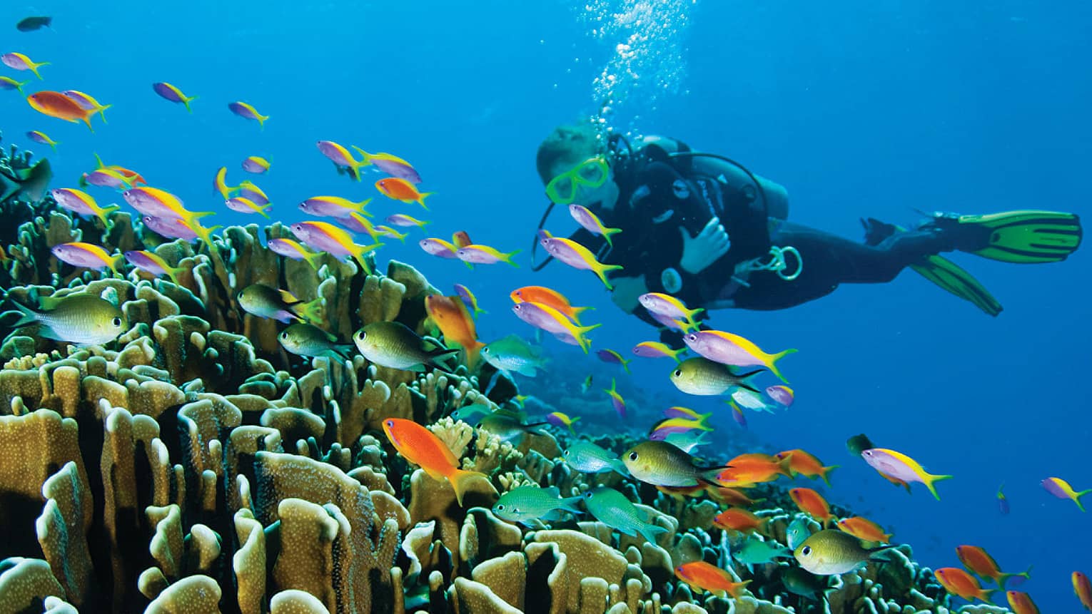 Scuba Diving