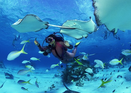 Scuba Diving