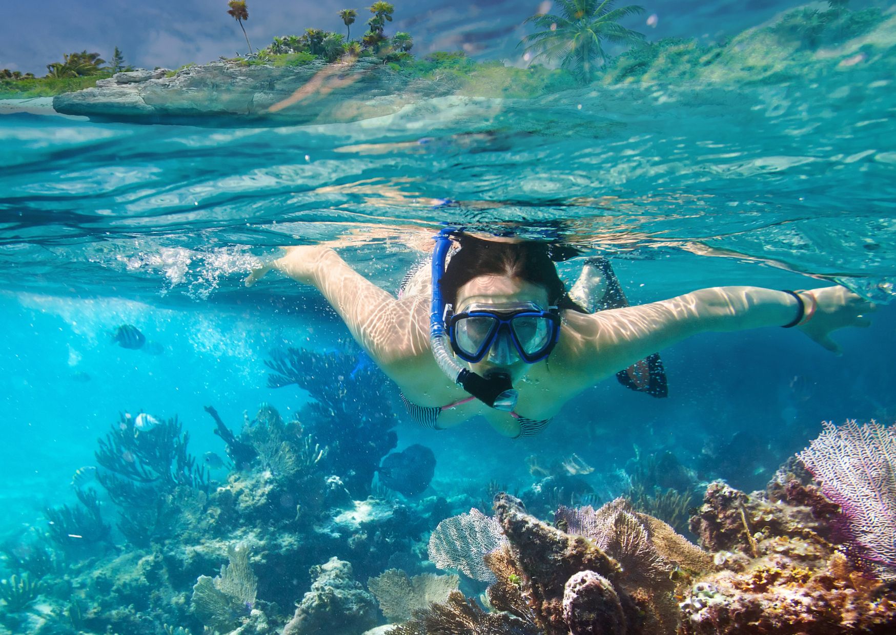 Snorkeling and Diving