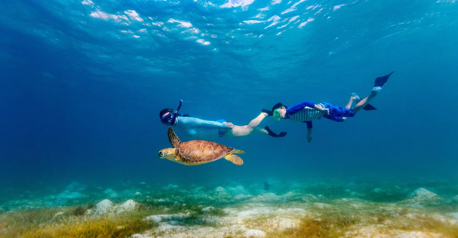 Snorkeling Tours