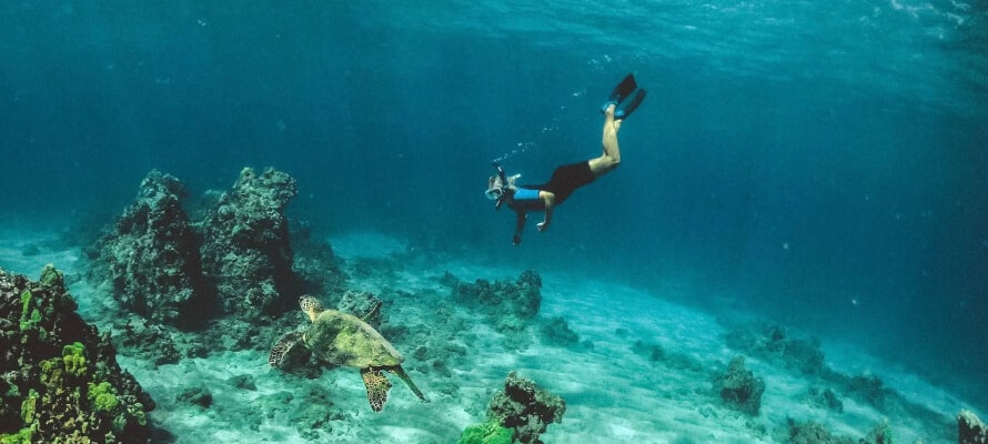 Snorkeling and Scuba Diving
