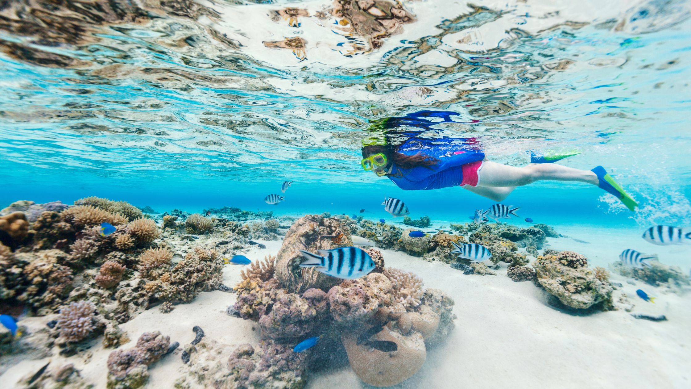 Snorkeling Tours