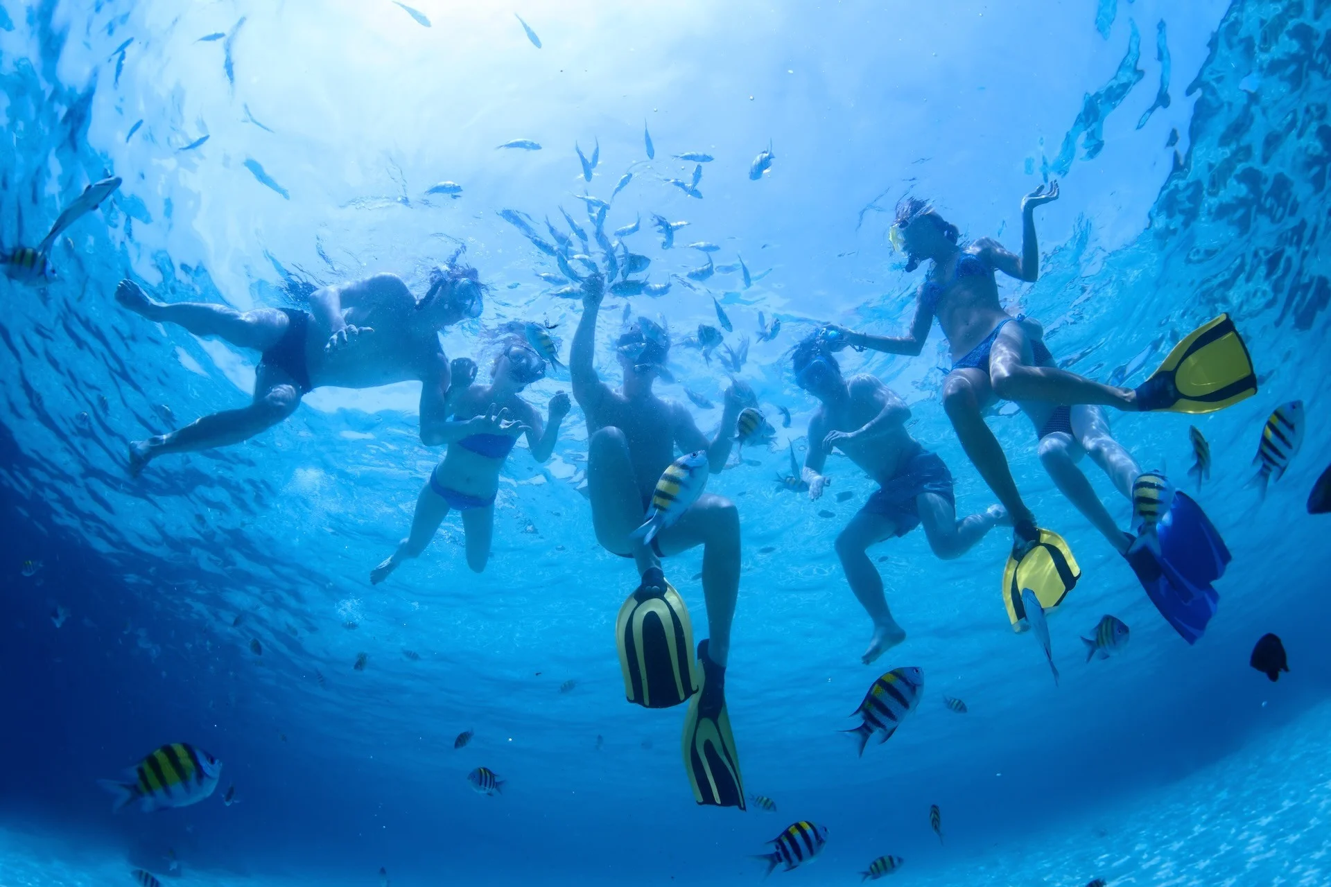 Snorkeling Tours