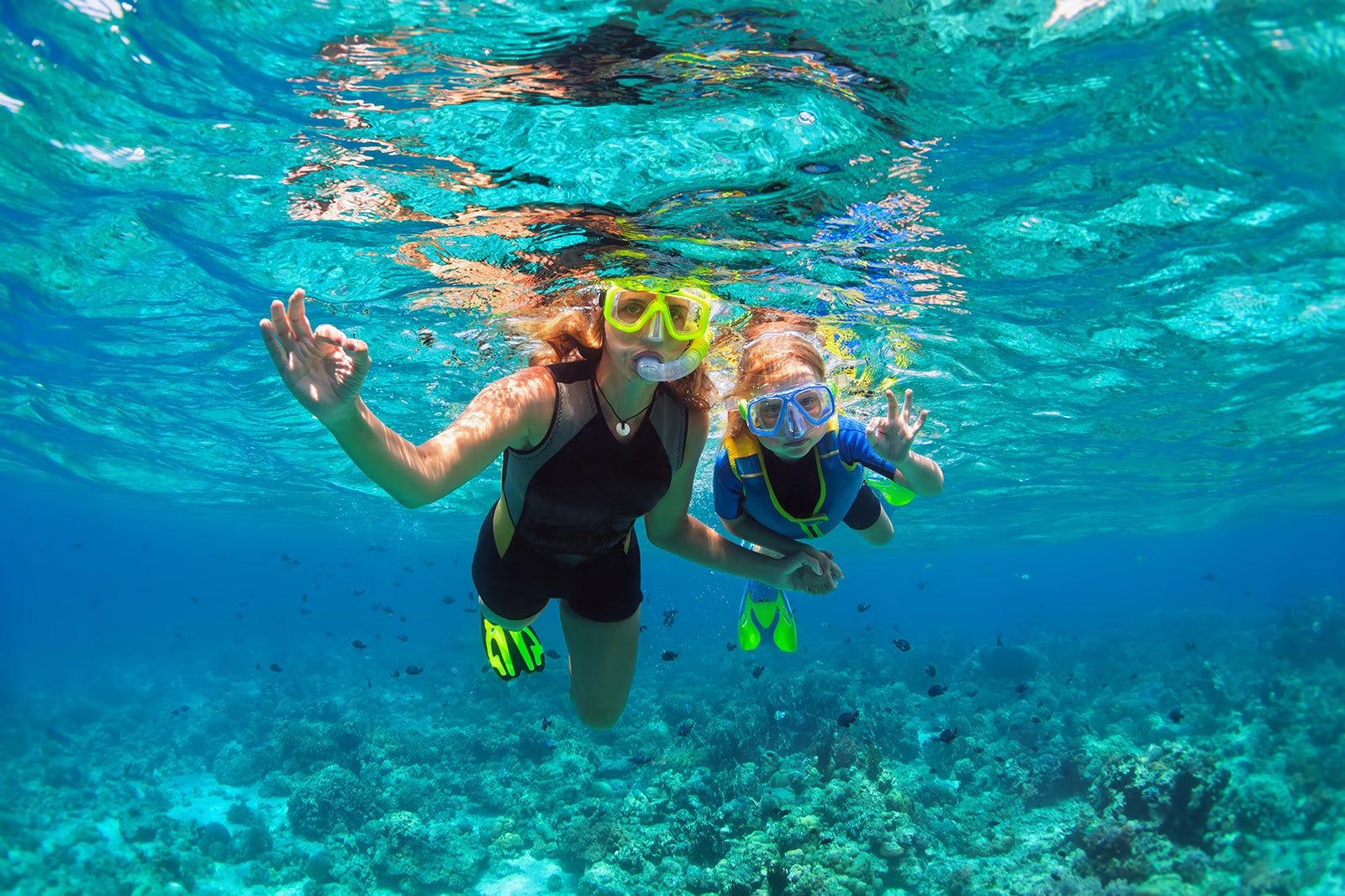 Snorkeling Tours