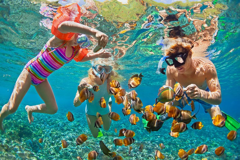 Snorkling Tours