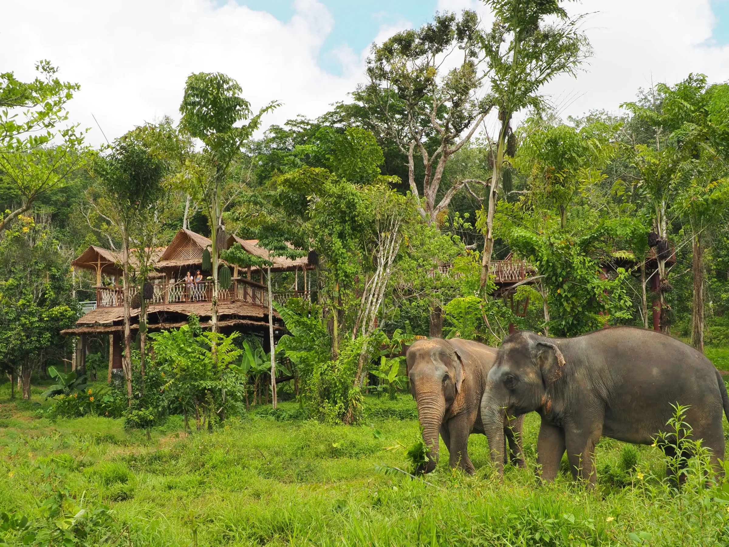 Elephant Sanctuaries