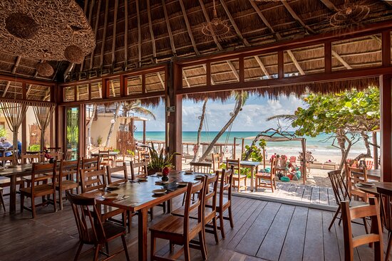 La Zebra Beach Restaurant and Bar